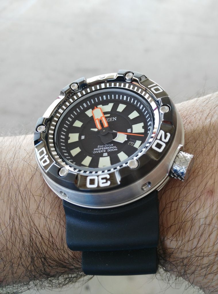 citizen ecozilla 300m